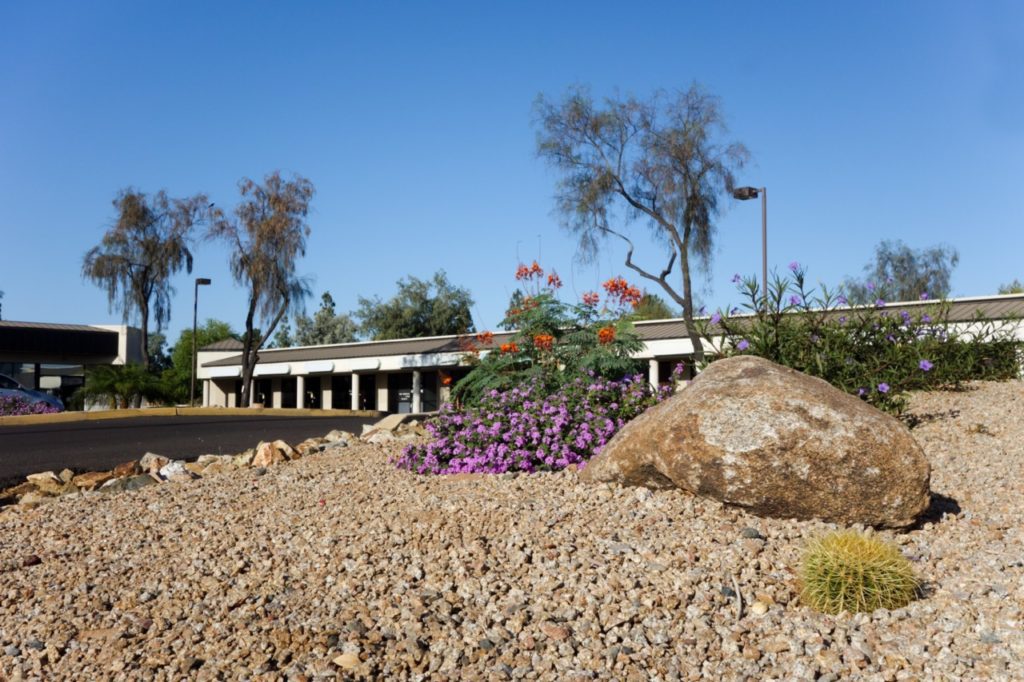 Mediterranean Drought Tolerant 
Landscaping
