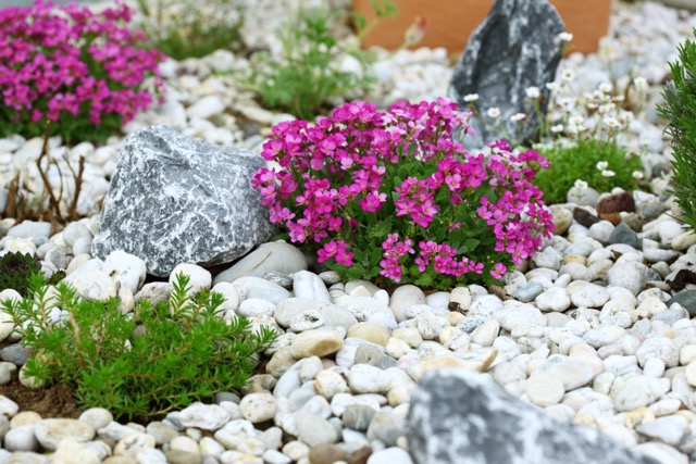 Rock Landscaping Ideas