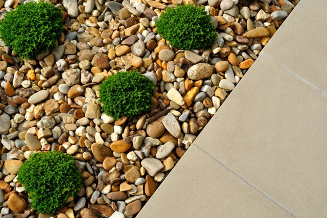 Rock Landscaping Idea