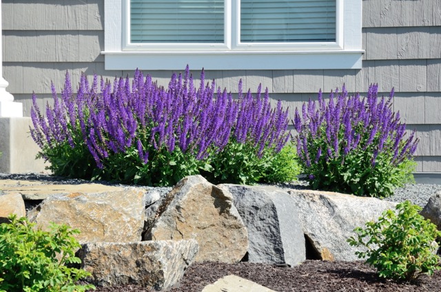 Rock Landscaping Idea