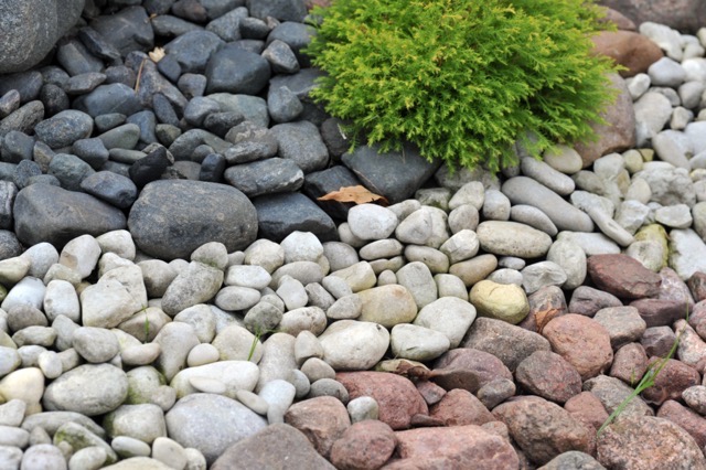 Rock Landscaping Idea