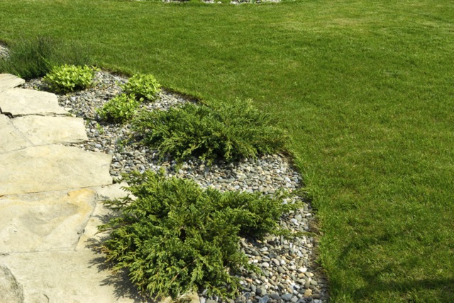 Rock Landscaping Idea