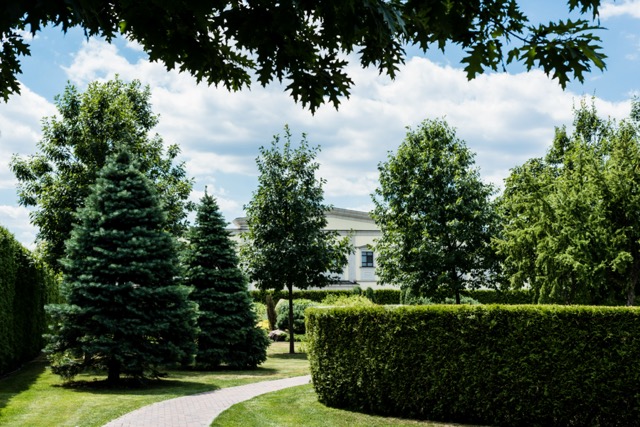 Pine trees for fall landscaping