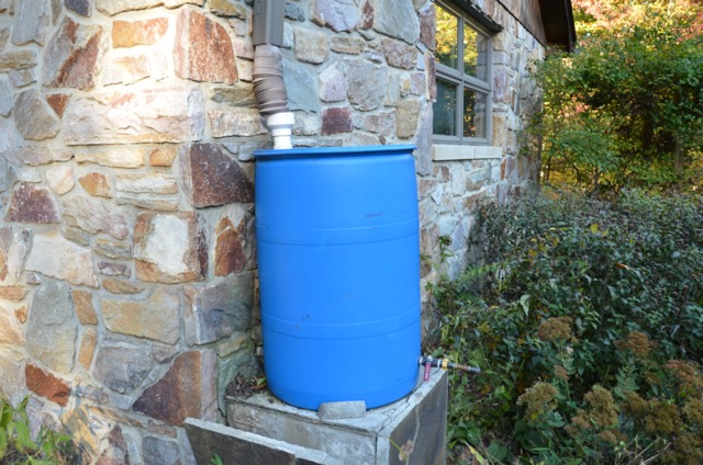 Blue rain barrel with gutter downspout and stone building or house for drought-tolerant landscaping