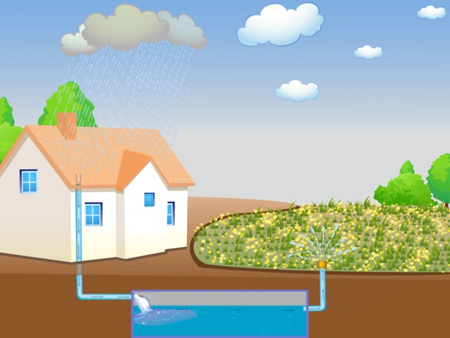 Illustration showing rainwater harvesting for drought-tolerant landscaping