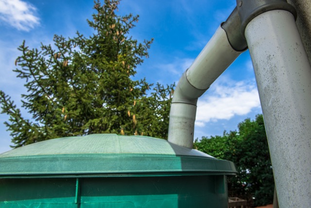 Rainwater recuperator for drought-tolerant landscaping