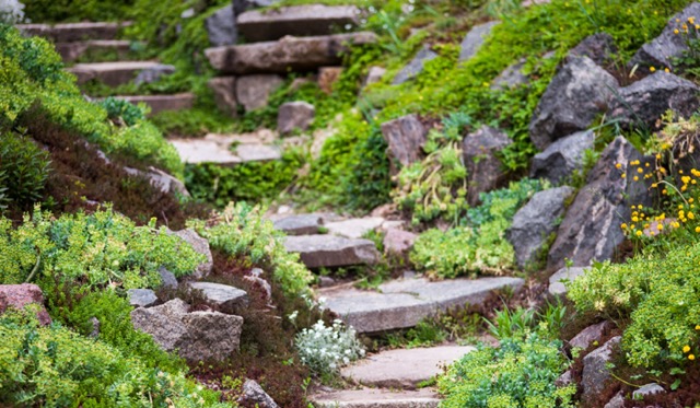 Stony stairs in the green blooming garden.