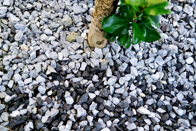 Fine natural stone mulch of tree. Selective focus