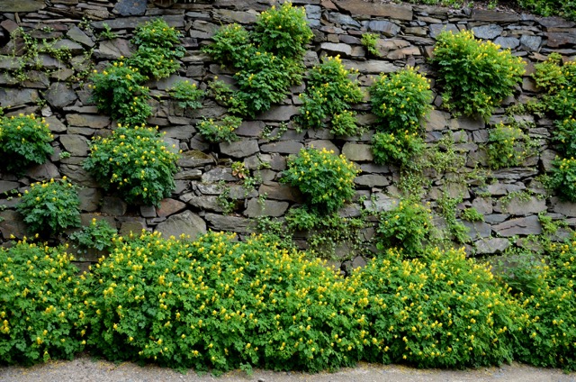 Rock Retaining Wall