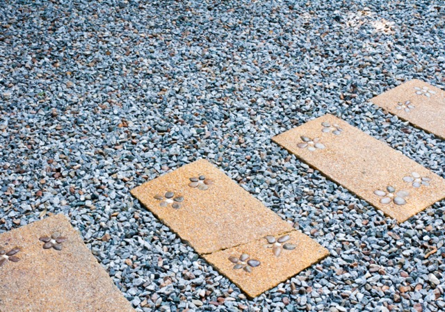 graveled pavement with flower in gravel garden