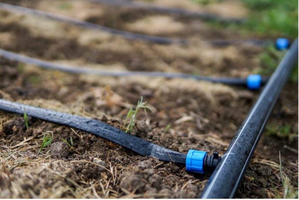 Drip Irrigation