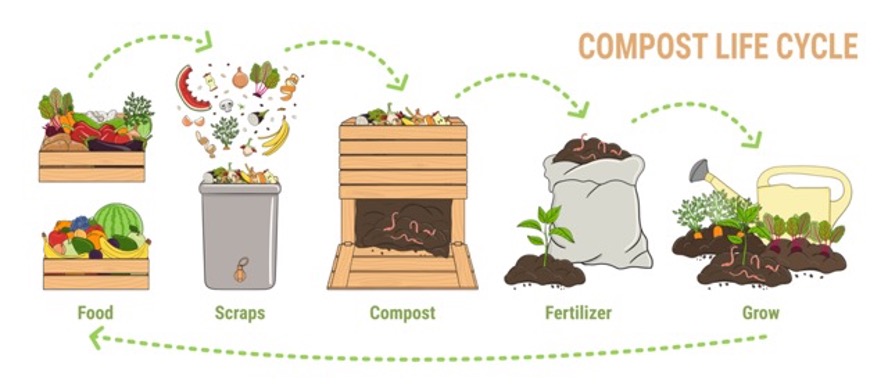 Compost Life Cycle