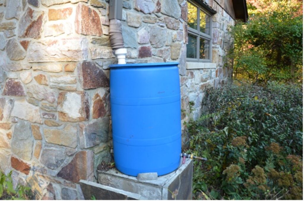 Rain Barrel