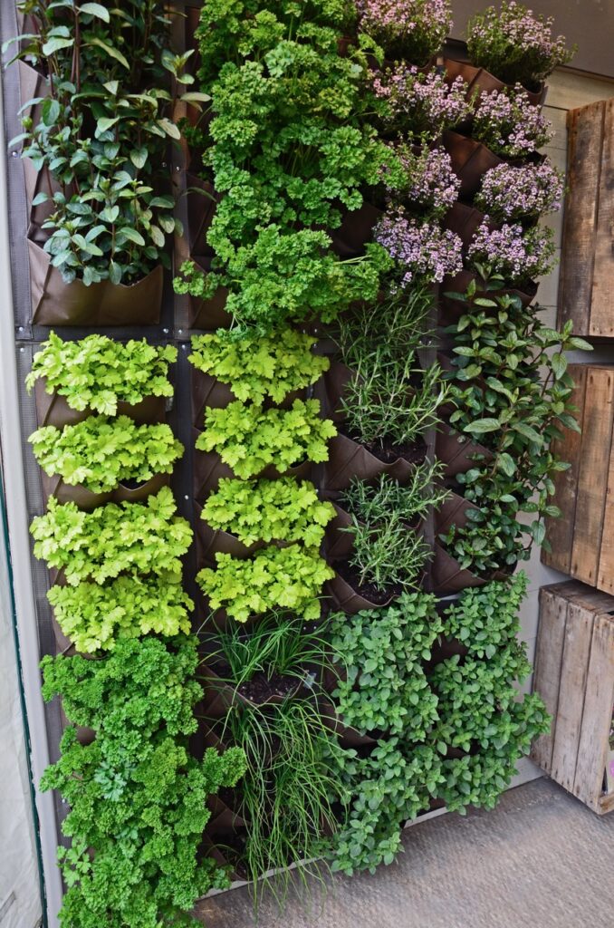 Vertical gardens and living walls are a great landscaping trend.