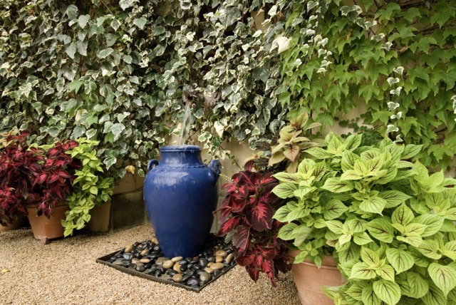 garden water feature, using a large blue pot,surrounded by wall of ivy and potted planats, gravel floor