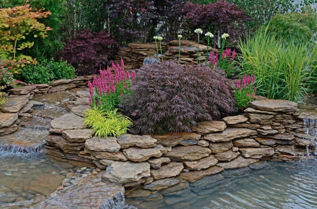 The pond area in an aquatic garden and planted rockery and selection of flowers, shrubs and grasses