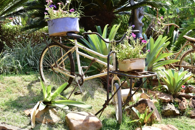 Retro vintage decorative bicycle old model fitted basket garden flowers. Summer Flowerbed.